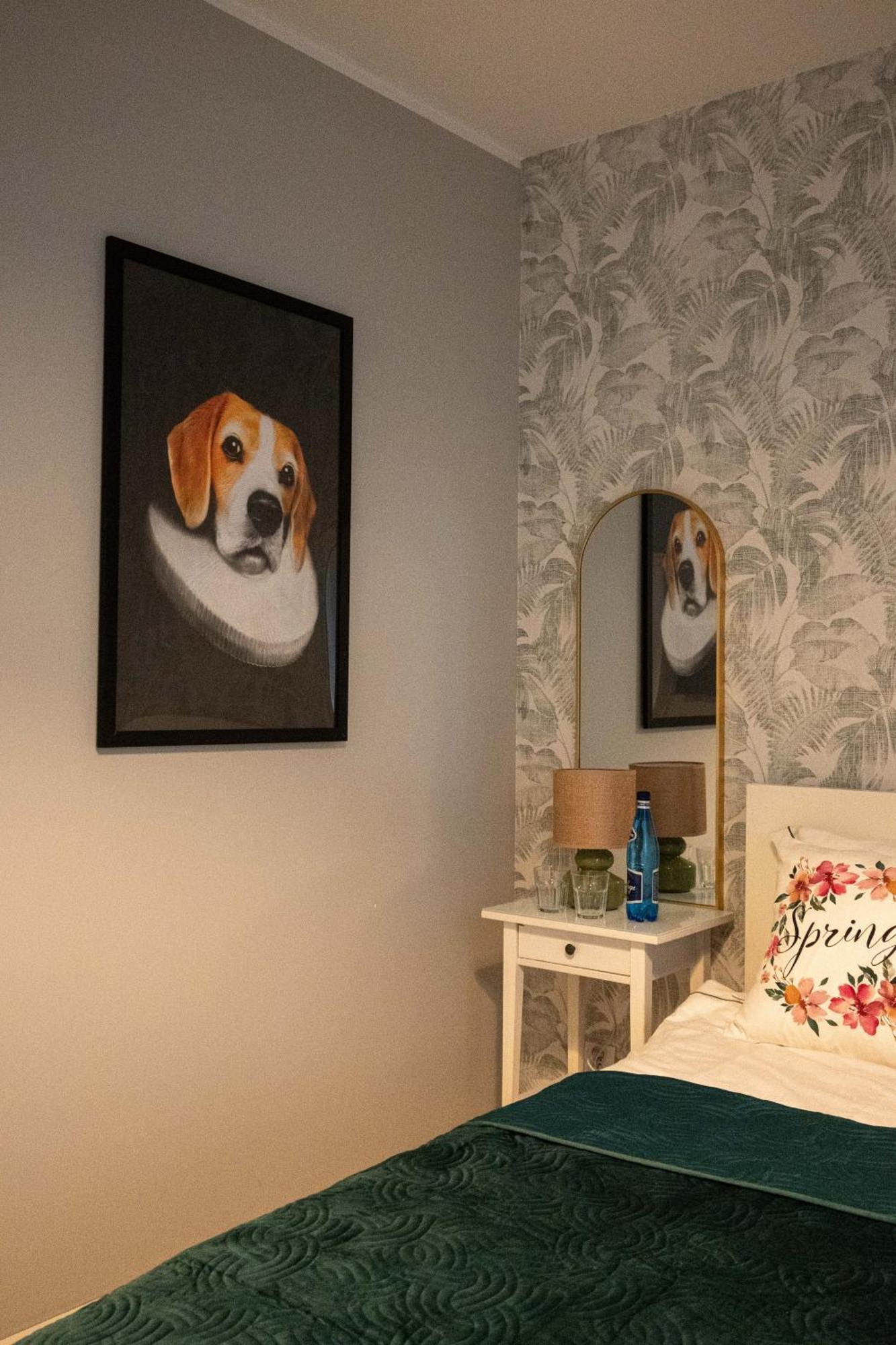 Apartament Na Kaszubach Kościerzyna 外观 照片
